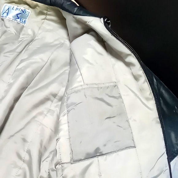 Vintage Alpine Ski Jacket (L) - Picture 4 of 7